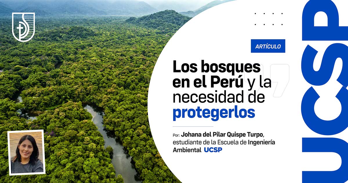 Los bosques en el Perú y la necesidad de protegerlos | Entradas UCSP:  Artículos