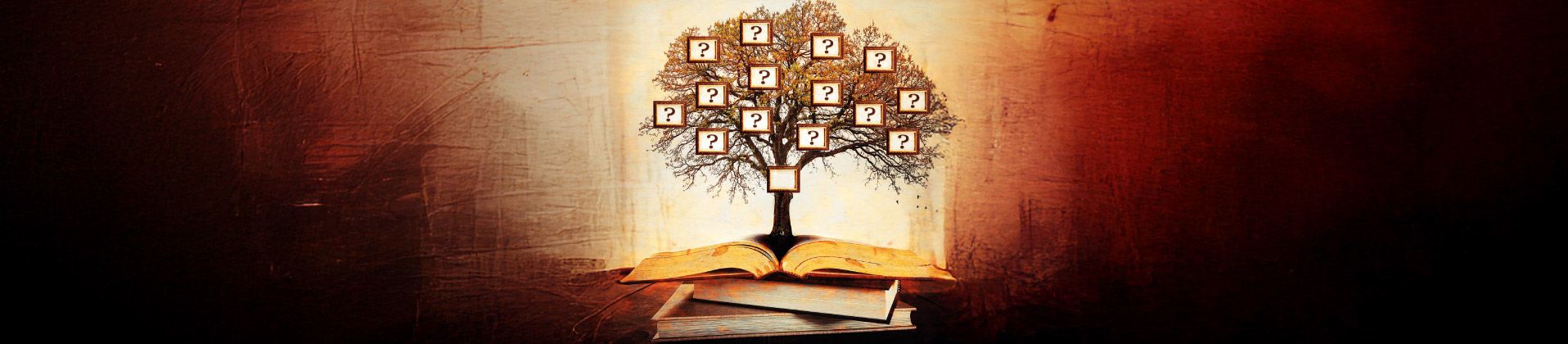 V CONCURSO DE ÁRBOL GENEALÓGICO    «DALE VIDA A TU HISTORIA FAMILIA»