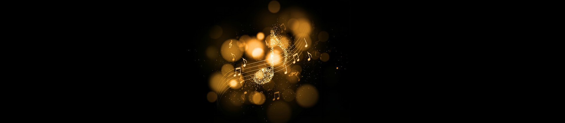 Concierto de gala   