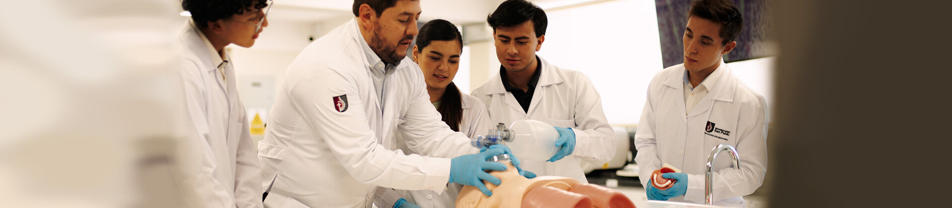 Medicina   Humana
