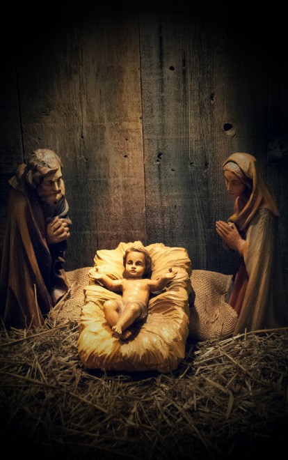 Exposición   Navideña 