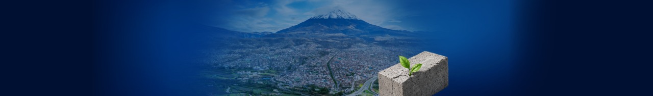 I Seminario Internacional: Materiales activados alcalinamente   para una infraestructura sostenible de bajo carbono