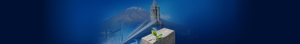 I Seminario Internacional: Materiales activados alcalinamente   para una infraestructura sostenible de bajo carbono